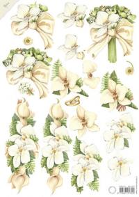 Billede: hvide blomster, marianne design