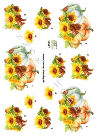 Billede: græskar og egern i solsikke, dan-design, førpris kr. 6,- nupris