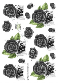 Billede: roser i grå/sorte toner, dan-design