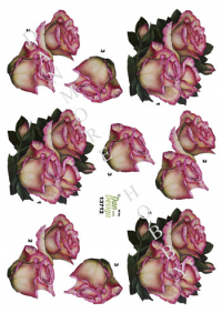 Billede: rosa rosenhoveder, dan-design