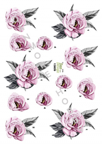Billede: rosa blomst, dan-design