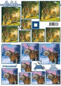 Billede: tiger i sommer og vinter, le suh pyramide