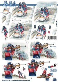 Billede: bobslæde og skiskydning, nouvelle