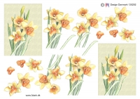 Billede: påskeliljer, hm-design