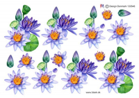 Billede: lotusblomster og frøstande, hm-design