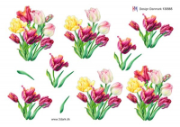 Billede: tulipaner i buket, hm-design