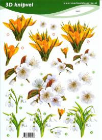 Billede: blomster, voorbeeldkaarten, tilbud