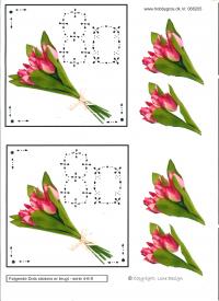 Billede: tulipaner, 80 i dots, lene design, tilbud