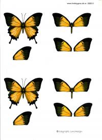 Billede: gul/brun sommerfugl, lene design, tilbud