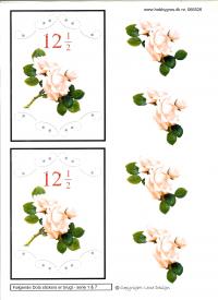 Billede: roser 12½ år med dotsmønster, lene design, tilbud