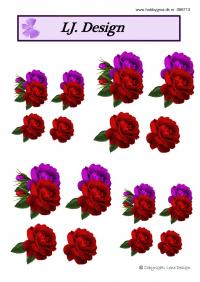 Billede: mørkerød rose, lene design, tilbud