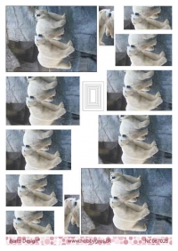 Billede: isbjørne som pyramidekort, barto design, førpris kr. 6,- nupris