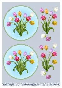 Billede: tulipaner i ring, barto design, førpris kr. 6,- nupris