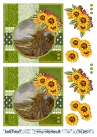 Billede: solsikker ved landskab i ramme på baggrund, barto design, førpris kr. 6,- nupris