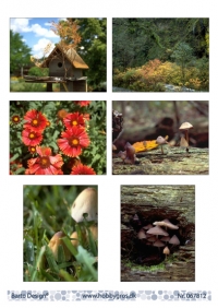 Billede: 6 billeder fra naturen, barto design
