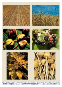 Billede: 6 billeder med afgrøder, barto design