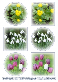 Billede: 6 billeder med forårsblomster, barto design