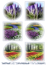 Billede: 6 billeder med forårsblomster, barto design