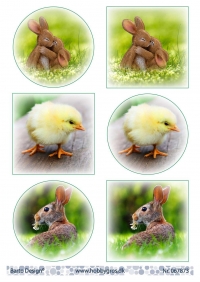Billede: 6 billeder med påskekyllinger og påskeharer, barto design