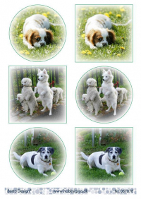 Billede: 6 billeder af hunde, barto design