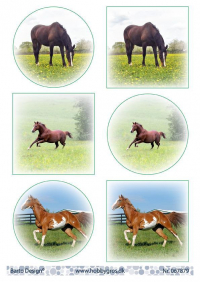 Billede: 6 billeder af heste, barto design