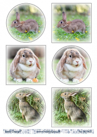 Billede: 6 billeder med kaniner, barto design