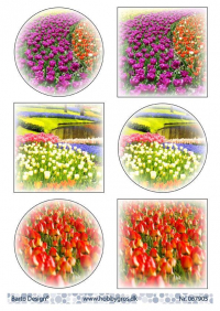 Billede: 6 billeder af tulipanmarker, barto design