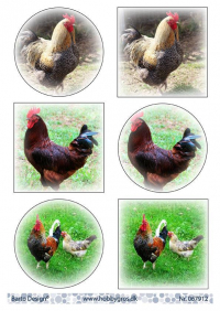 Billede: 6 billeder af haner, barto design