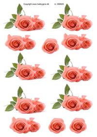 Billede: lyserøde roser, hobbygros, førpris kr. 6,- nupris