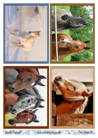 Billede: 4 billeder med heste, barto design