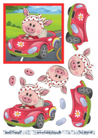Billede: en gris i en cabriolet, barto design