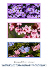 Billede: 3 blomsterbilleder til mini-slimcard, barto design
