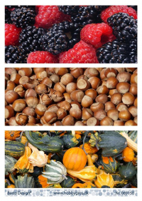 Billede: 3 baggrundsbilleder med frugt og nødder til slimcard, barto design