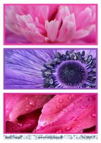 Billede: 3 nærbilleder af blomster til slimcard, barto design