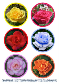Billede: 6 runde billeder med rosehoveder, barto design