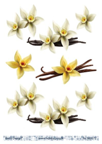 Billede: vanilje orkide, barto design