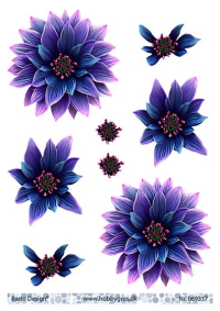 Billede: en stor blå/lilla blomst, barto design