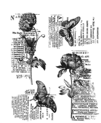 Billede: SA / Tim Holtz Cling Stamp “Botanic Collage