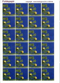Billede: foldepapir 1 ark A4