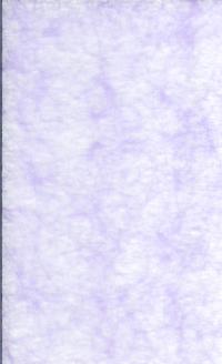 Billede: spindelvæv violet ca. 30 x 20 cm