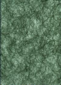 Billede: spindelvæv grøn ca. 30 x 20 cm